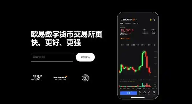欧一官方入口系统展示图